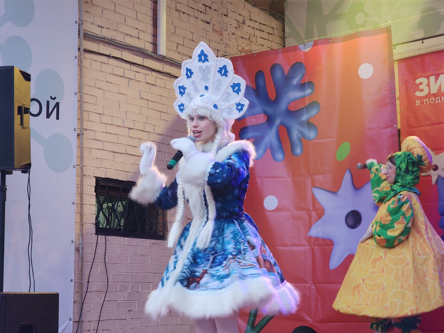 Павловский Посад , Новый год , Парк,