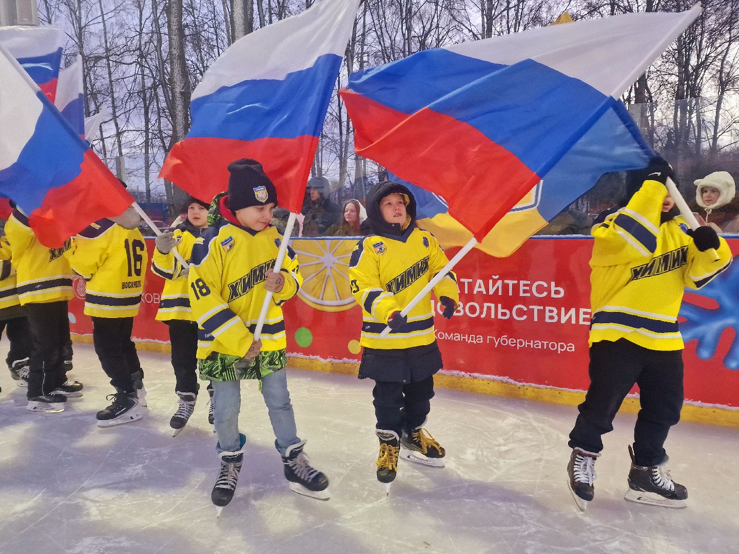 воскресенск, зима в  подмосковье, ледовый каток,