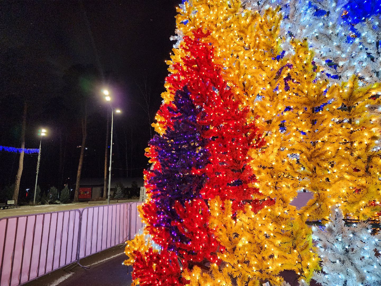 Ногинск, Парк, активный отдых, Прогулка, за закрытым занавесом, украшение,