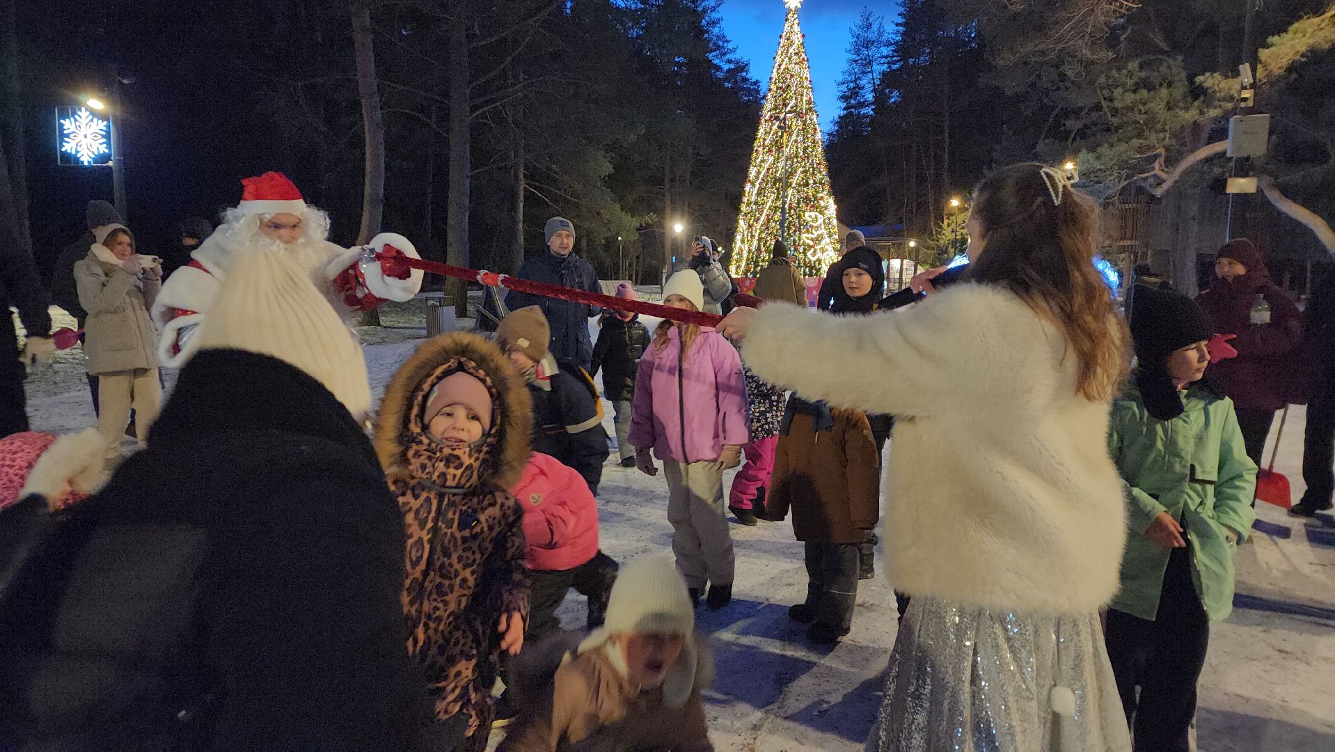 истра, лесопарк, зима в подмосковье,