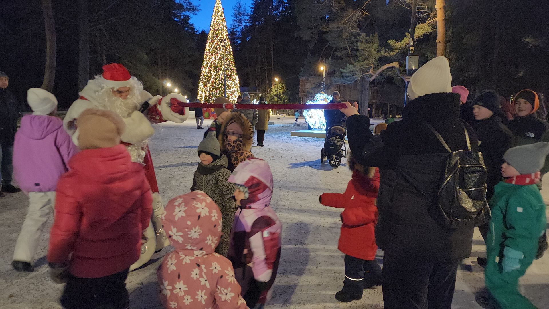 истра, лесопарк, зима в подмосковье,