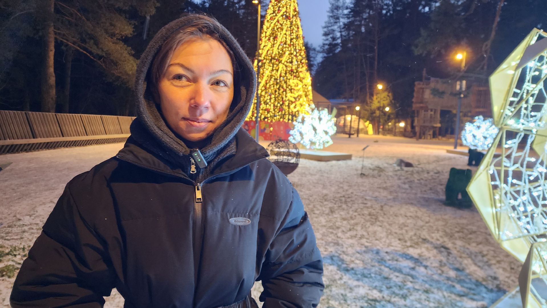 истра, лесопарк, зима в подмосковье,