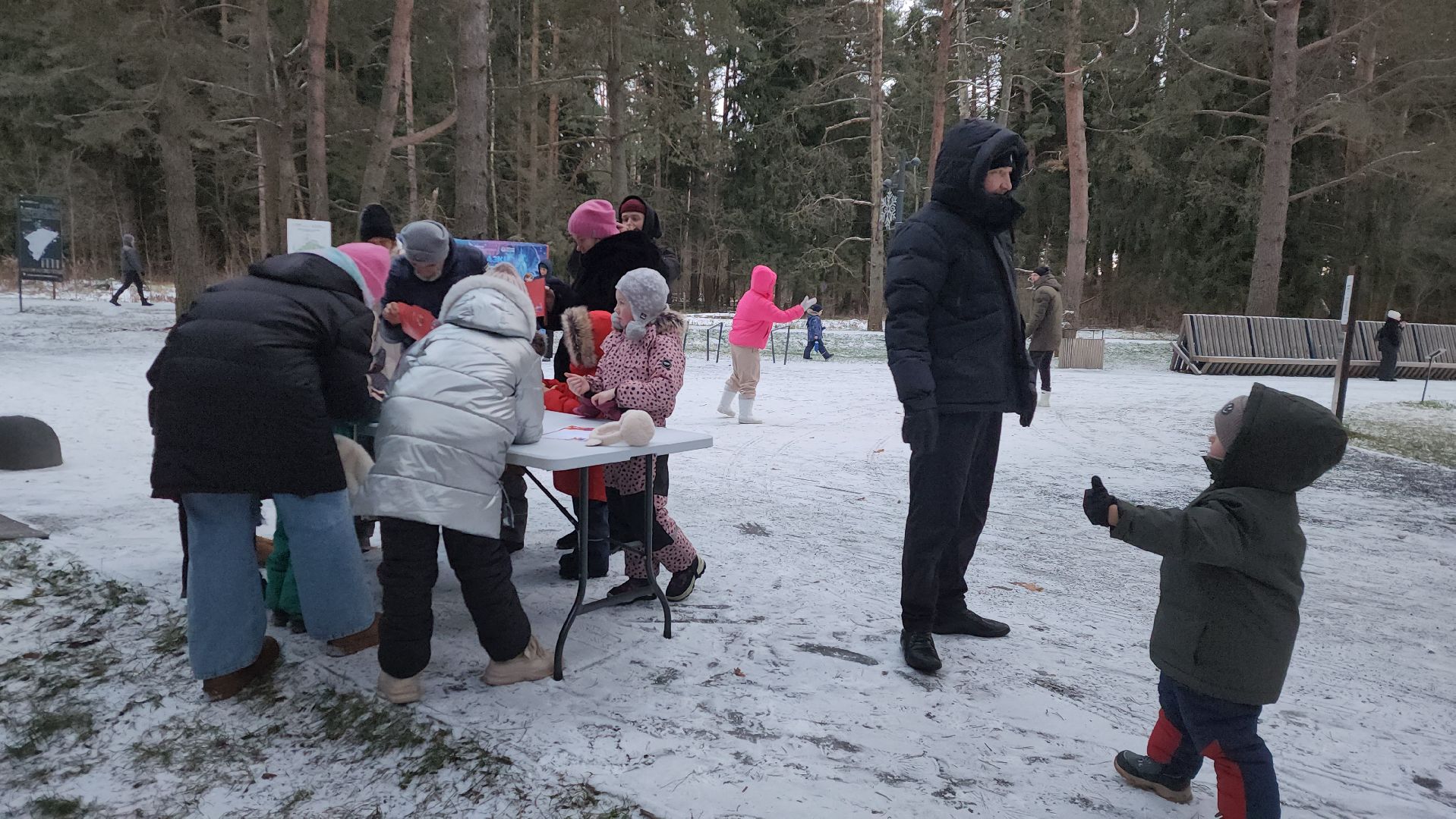 истра, лесопарк, зима в подмосковье,