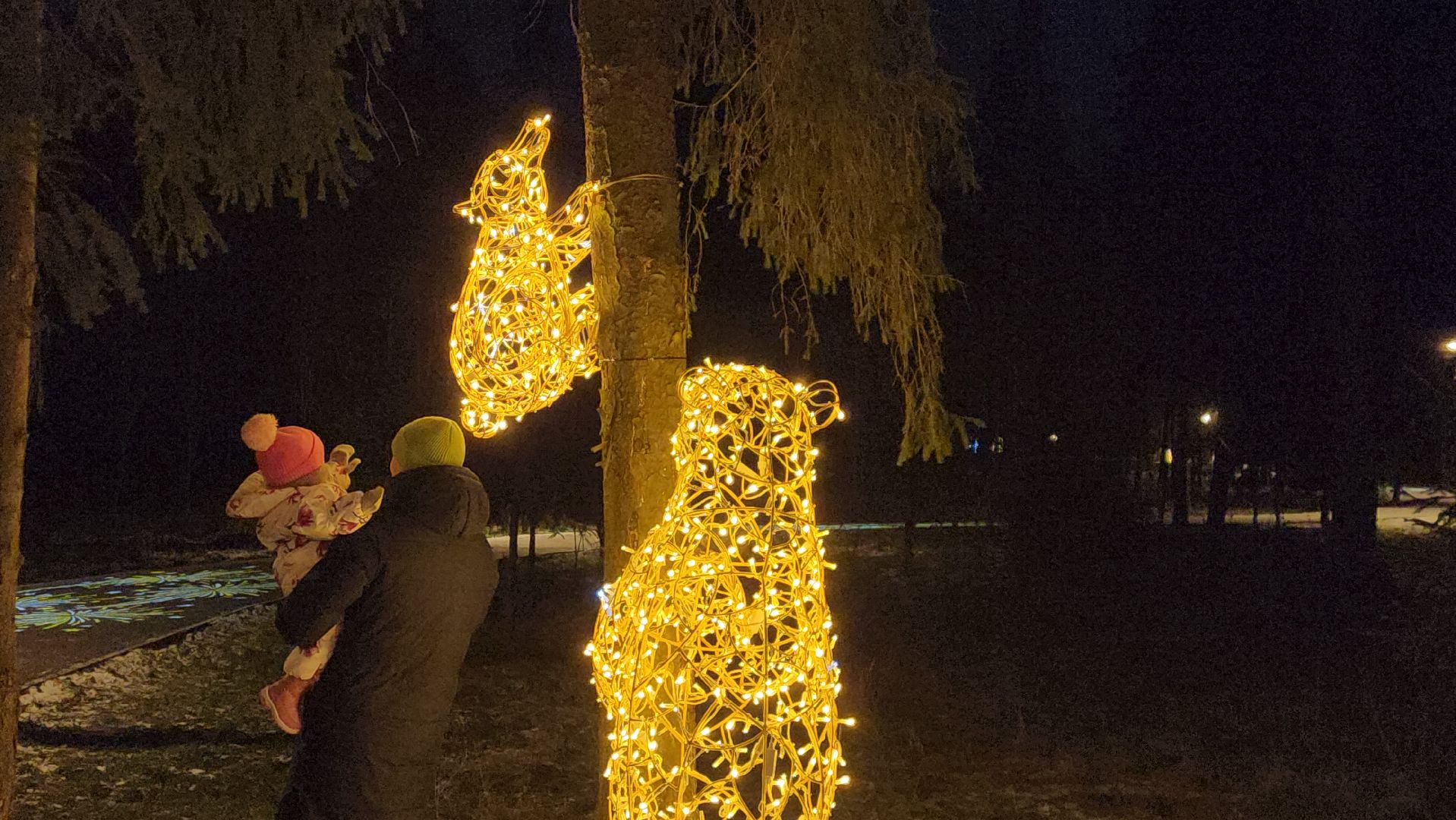 истра, лесопарк, зима в подмосковье,