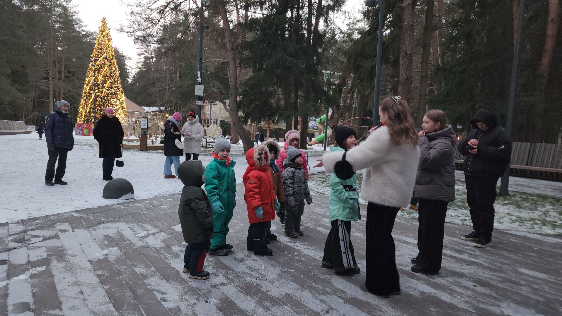 истра, лесопарк, зима в подмосковье,