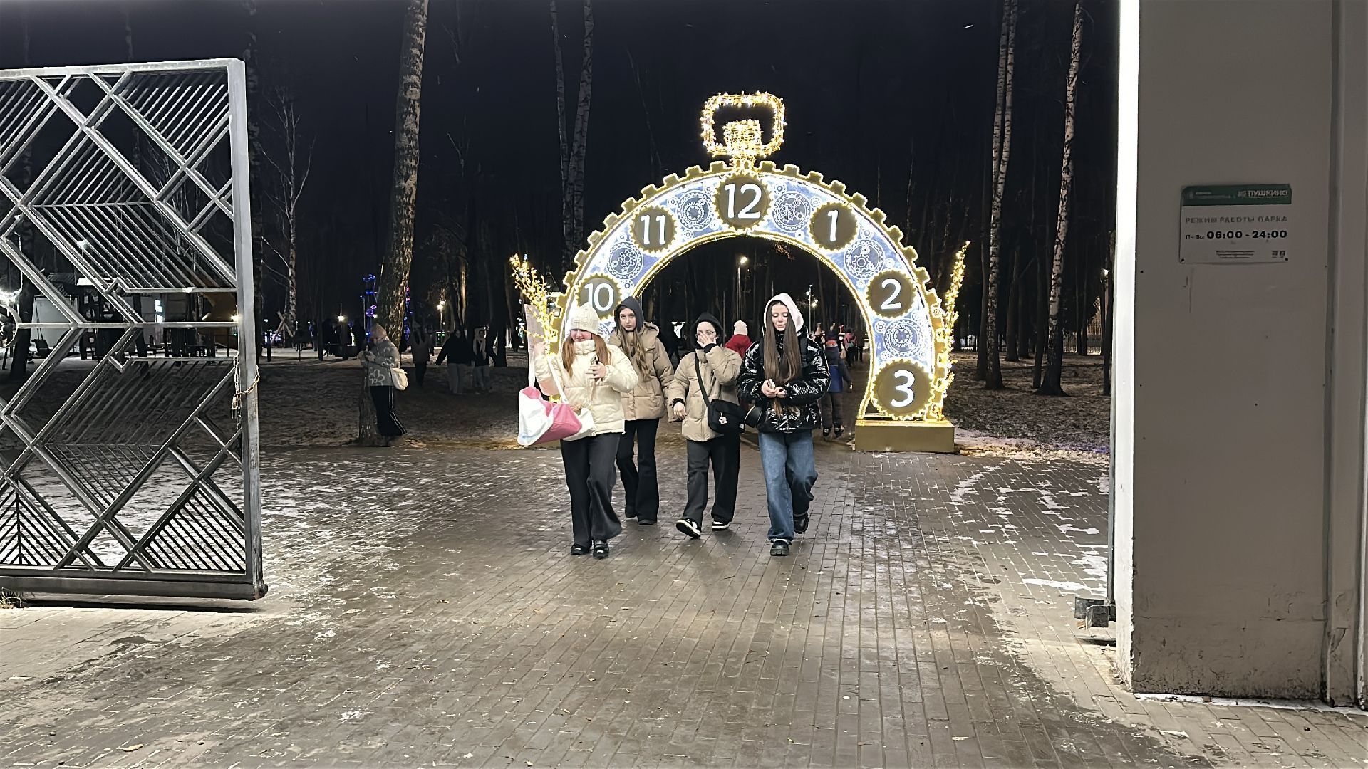 пушкинский городской округ, пушкино, центральный парк культуры и отдыха, каток, Каток в Пушкино, Коньки,