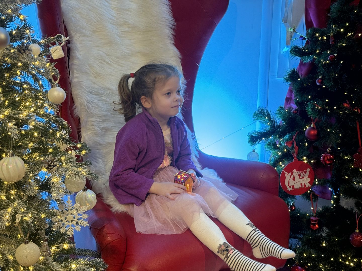 резиденция деда мороза, новогодняя программа, зима в  подмосковье, мастер класс, елочная игрушка, письмо деду морозу,