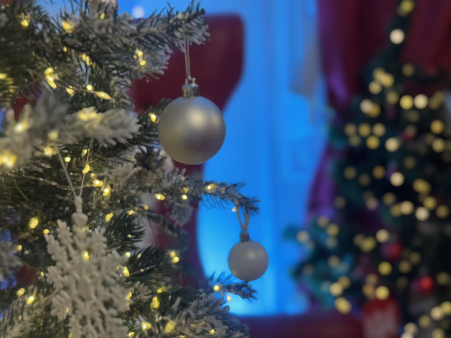 резиденция деда мороза, новогодняя программа, зима в  подмосковье, мастер класс, елочная игрушка, письмо деду морозу,