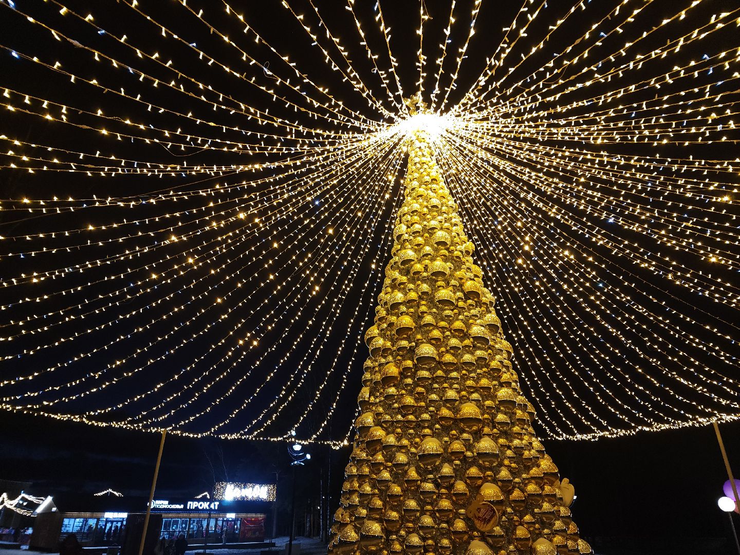 дубна, каток в парке, зима в подмомсковье, мастер класс,