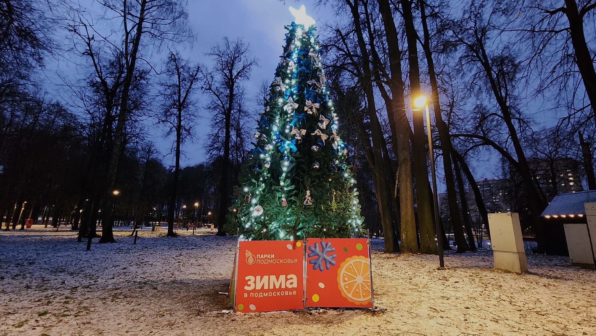 парки подмосковья, зима в парке, новогодняя игрушка, новый год, лосино-петровский,