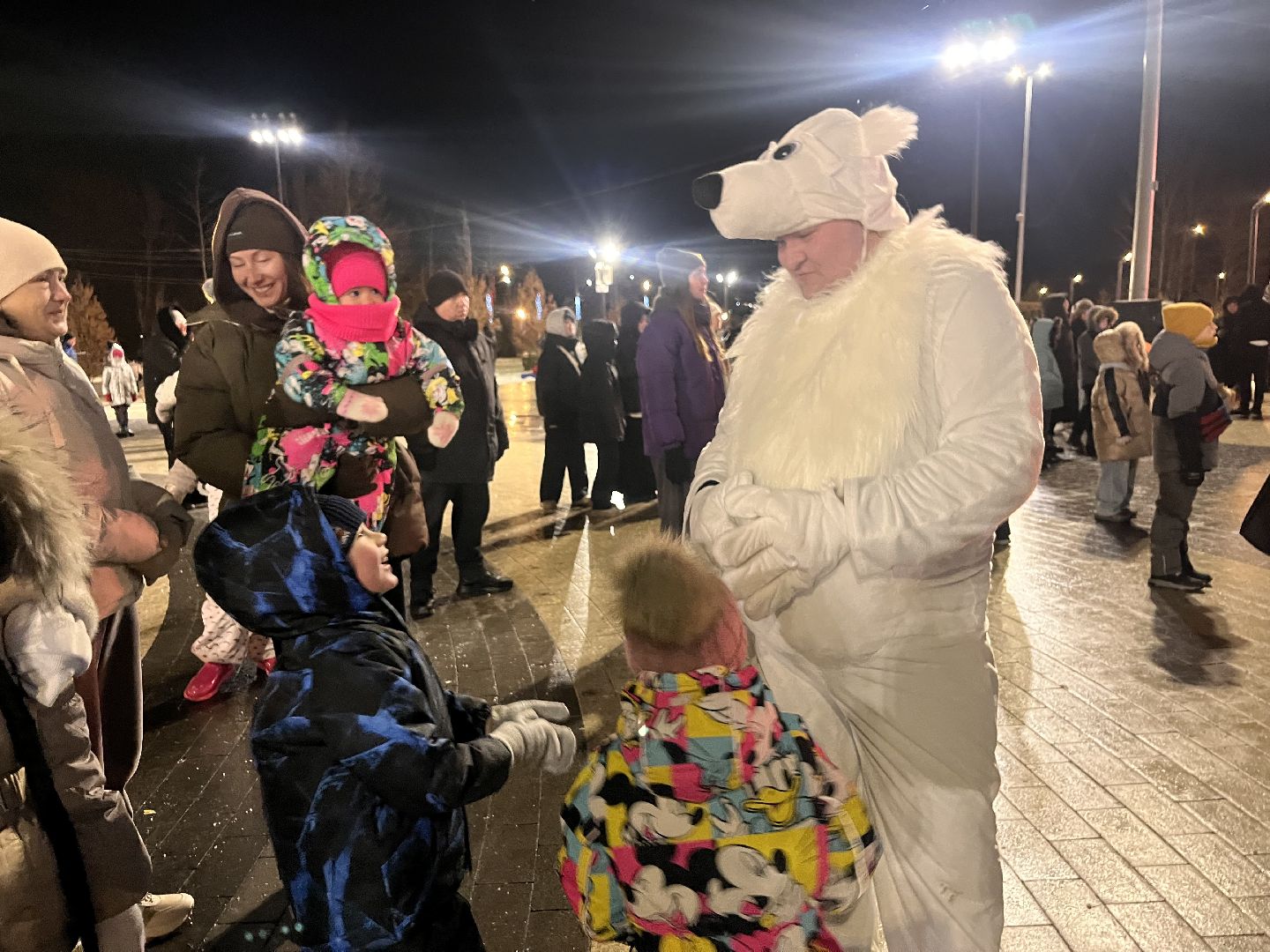 рошаль, главная елка, зажжение елки,