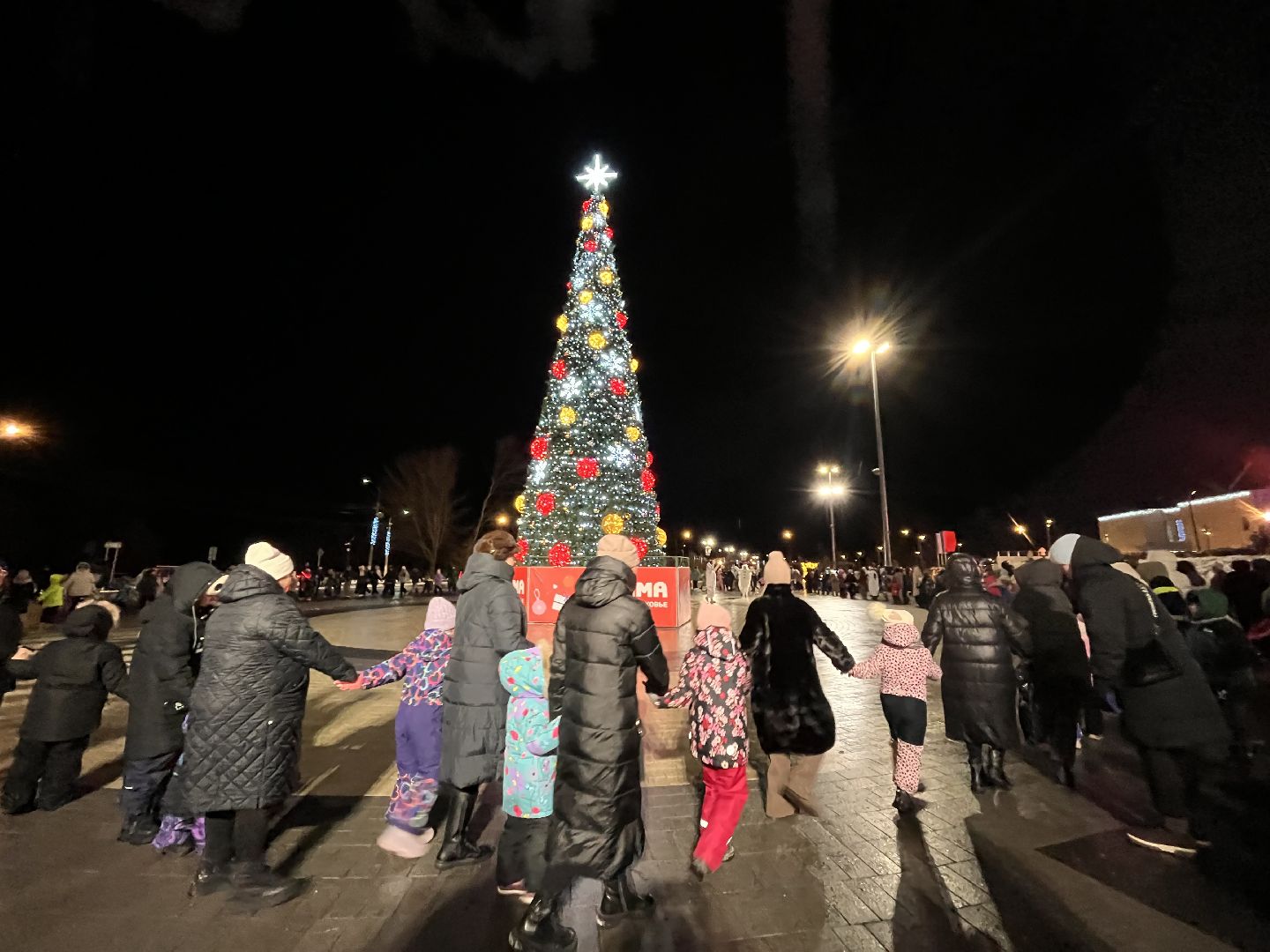 рошаль, главная елка, зажжение елки,