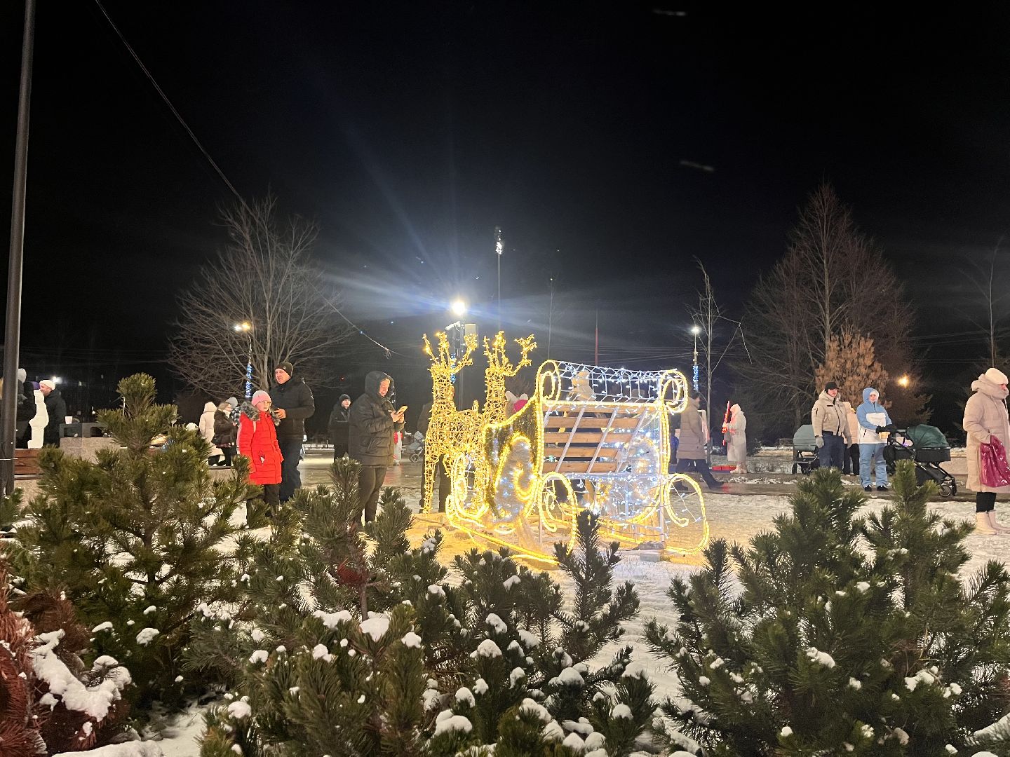 рошаль, главная елка, зажжение елки,