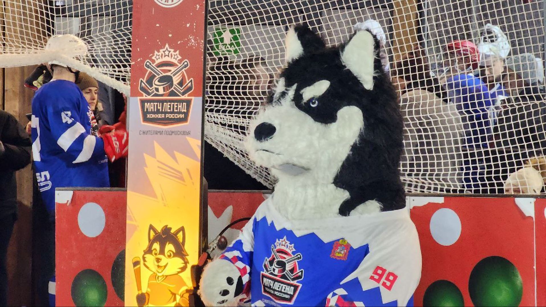 Дмитров, Проект Выходи во двор, Легенды хоккея,  Минспорта,