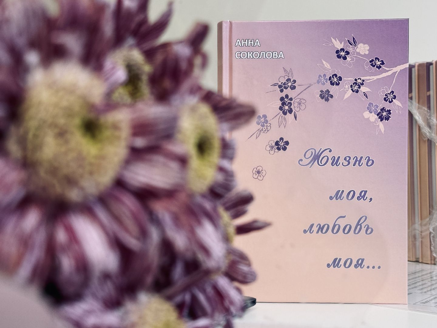 раменское, презентация книги, литературная встреча, творчество, союз писателей,