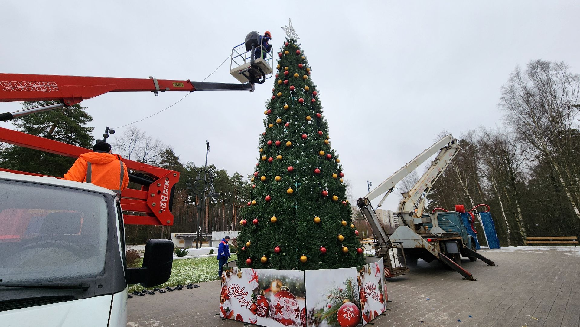 новогодняя елка, протвино, новогоднее настроение,