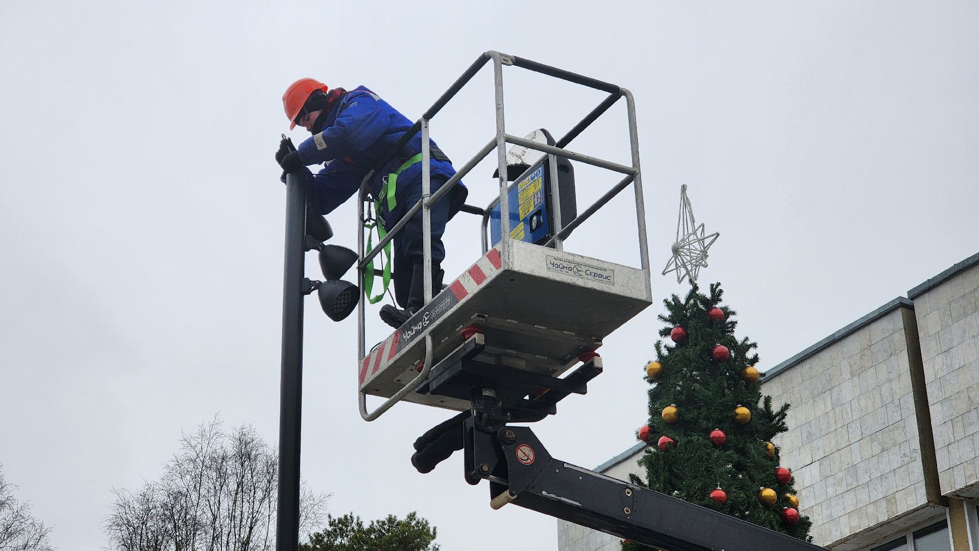 новогодняя елка, протвино, новогоднее настроение,