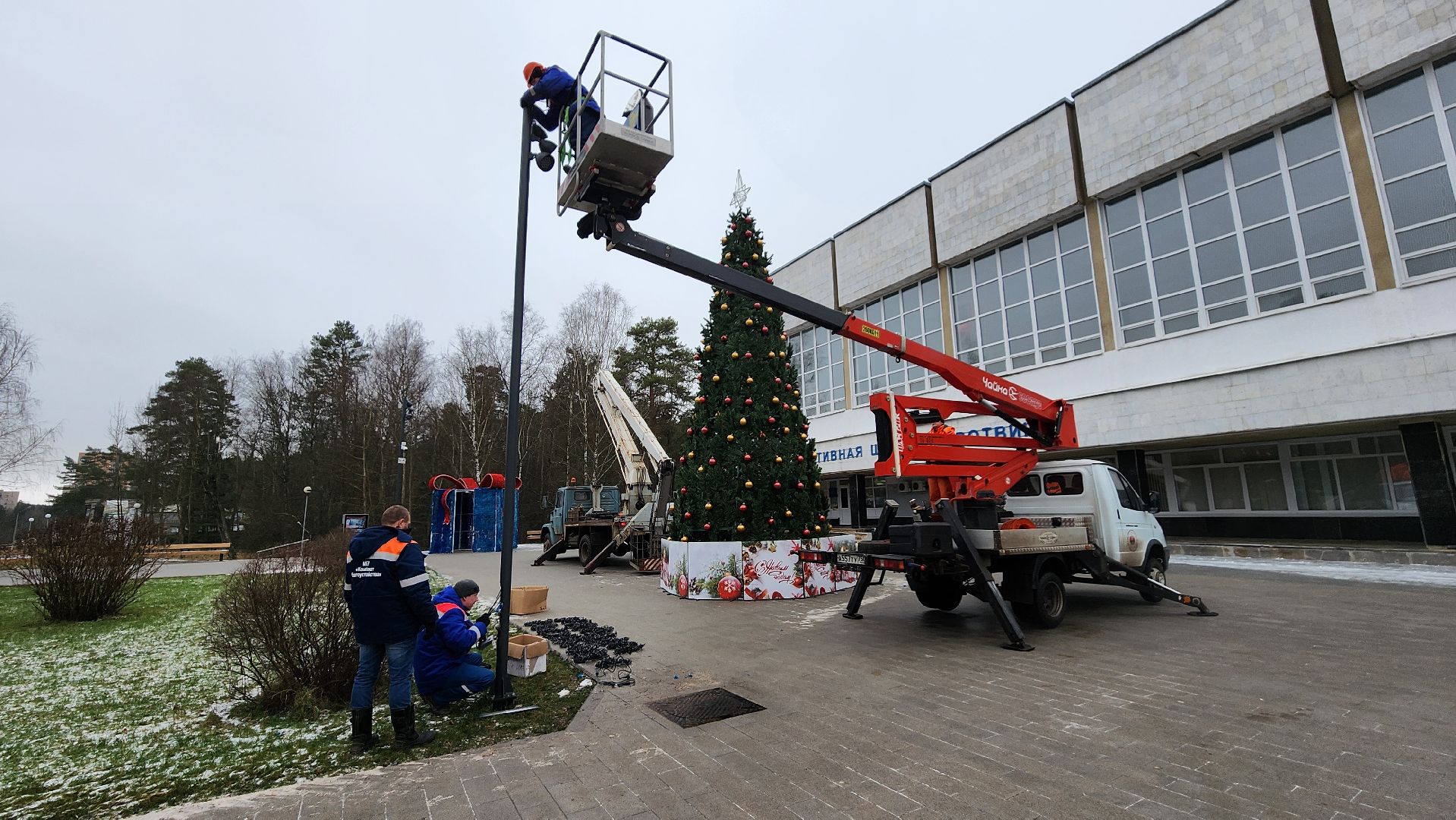 новогодняя елка, протвино, новогоднее настроение,