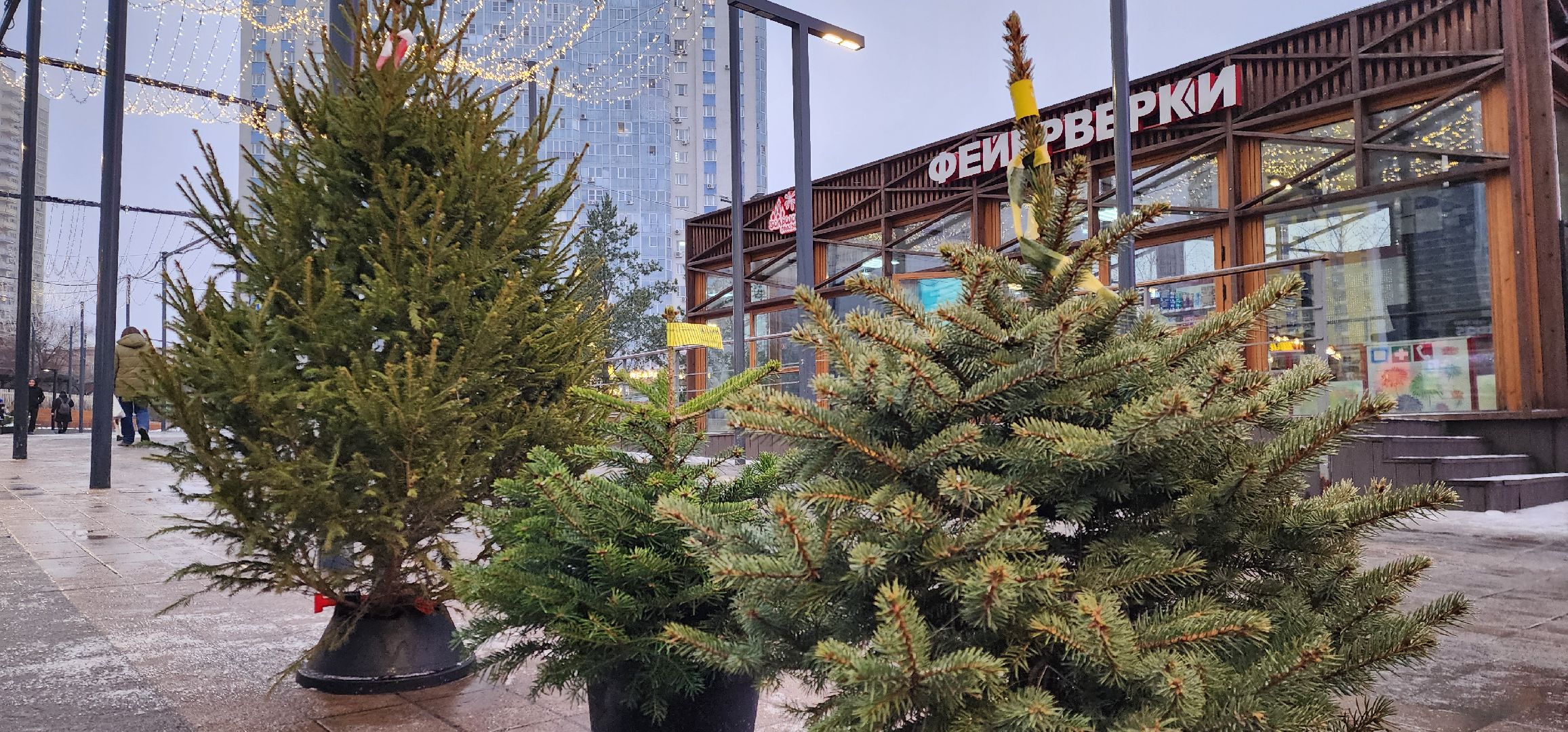 Химки, Зима в Подмосковье , Елочные базары,