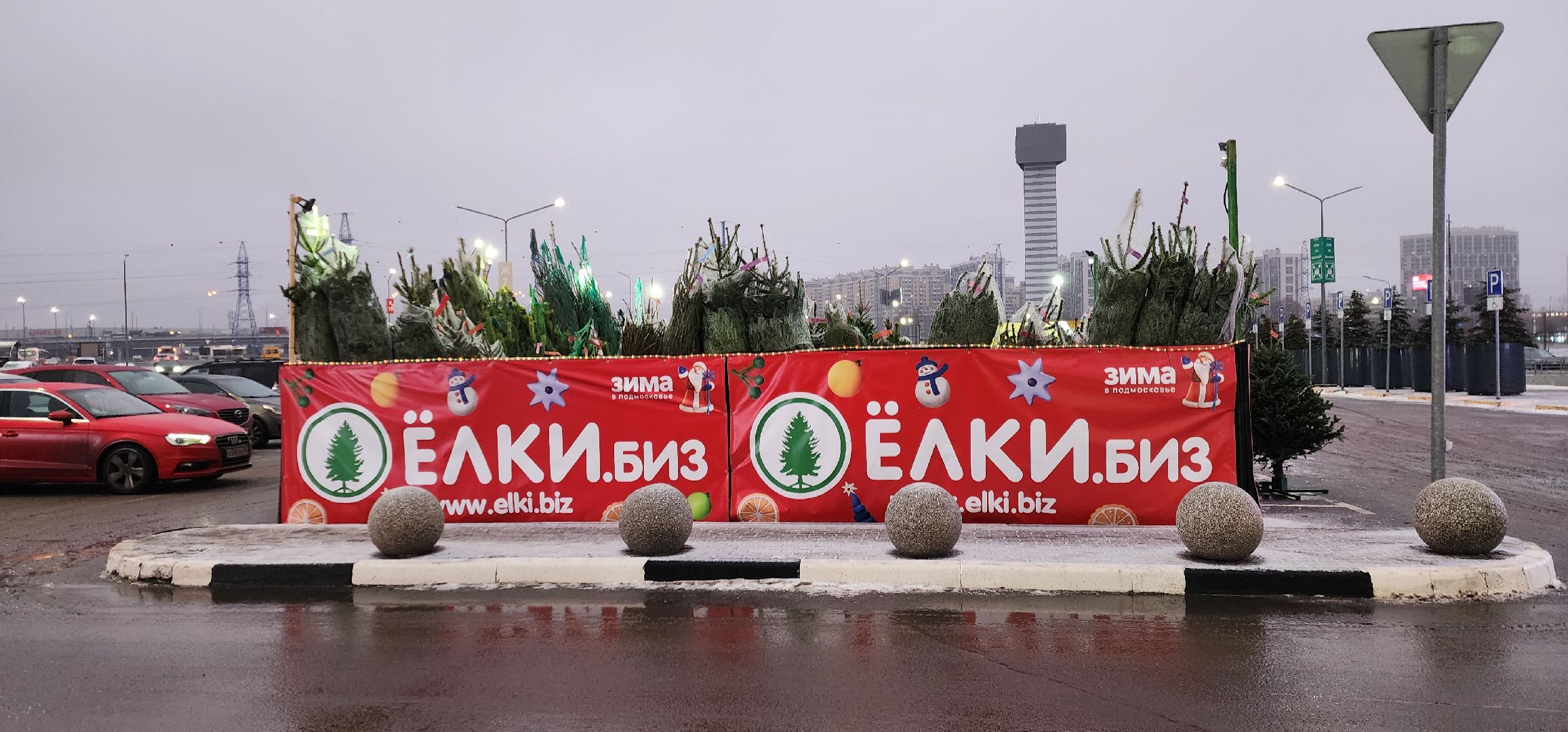 Химки, Зима в Подмосковье , Елочные базары,