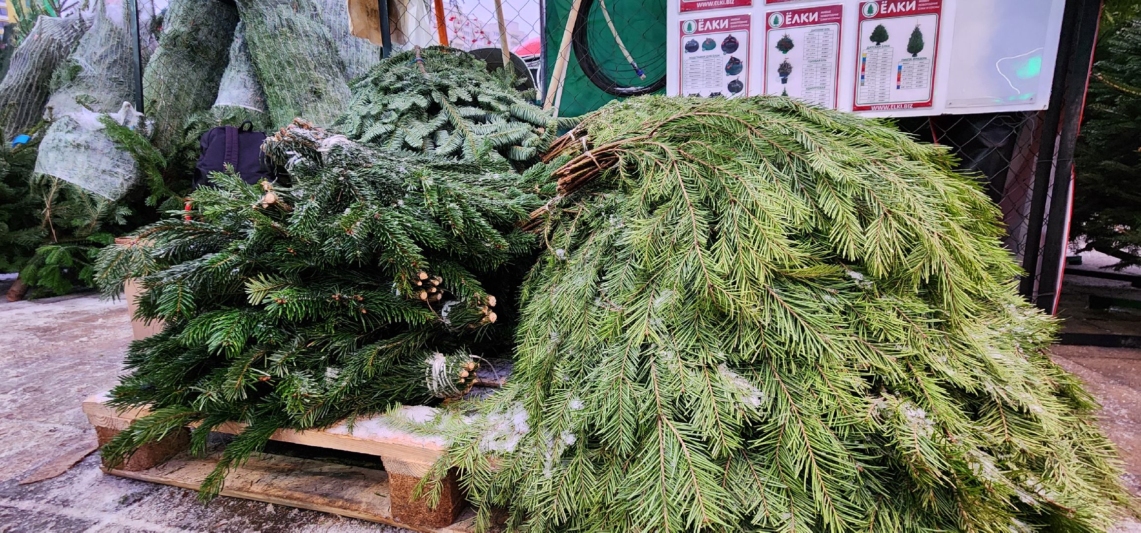 Химки, Зима в Подмосковье , Елочные базары,