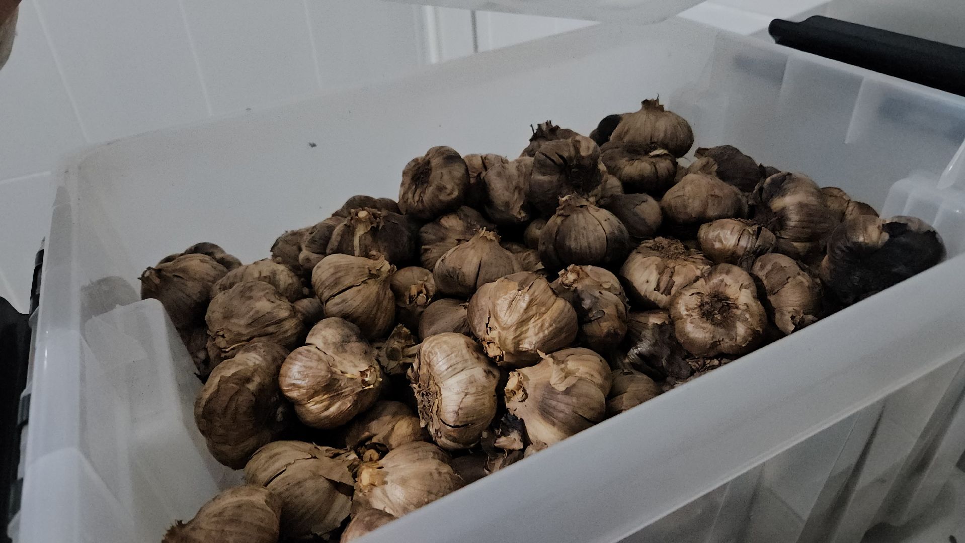 жуковский, чеснок, кен-ко,