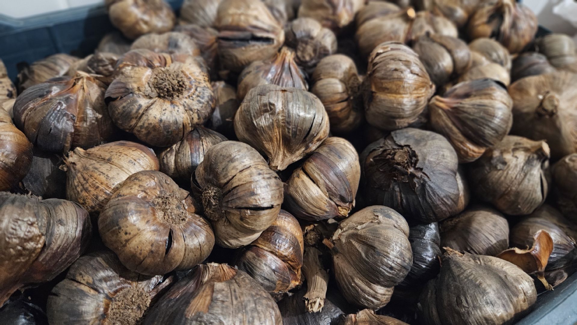 жуковский, чеснок, кен-ко,