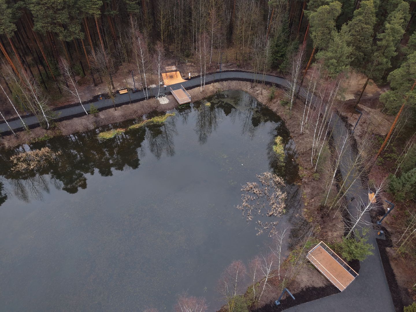 видео с коптера, лесопарк стрелки,