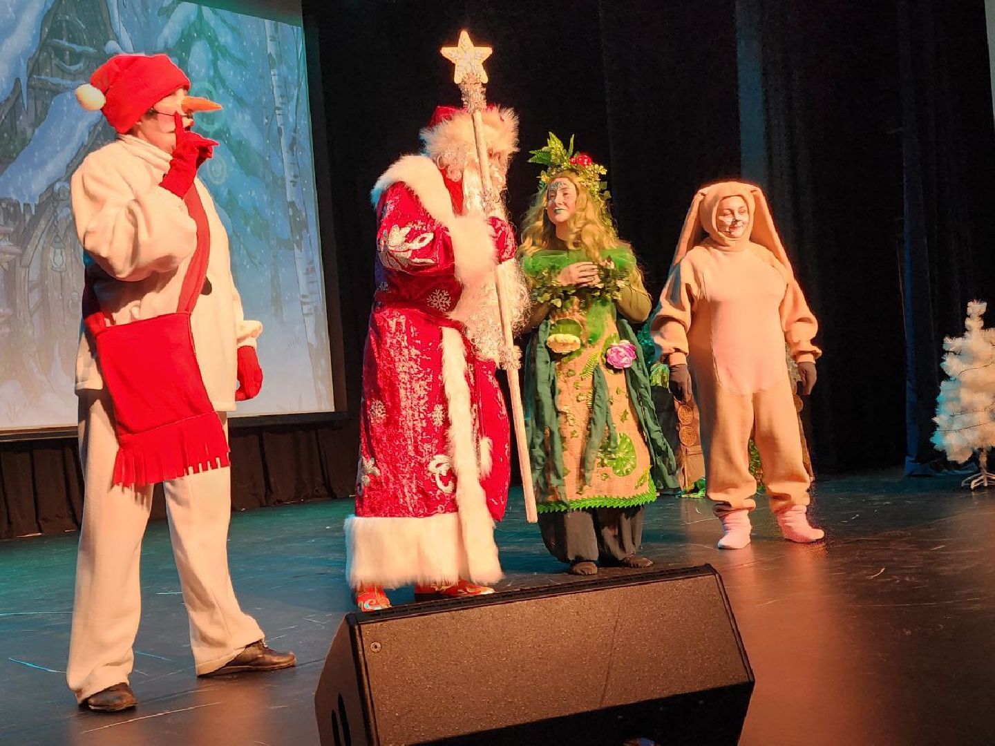 солнечногорск, социальная защита, благотворительная акция,  общество,