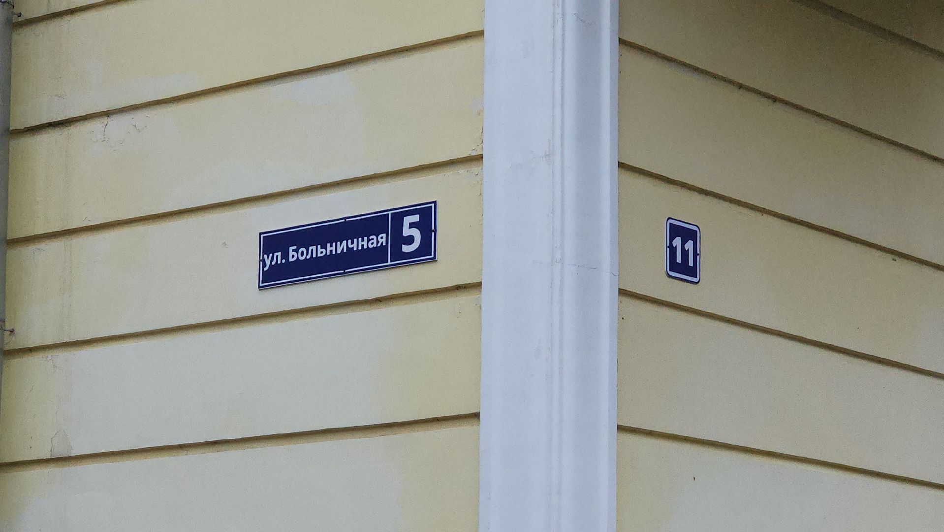 Истра, Медицина, Грипп,