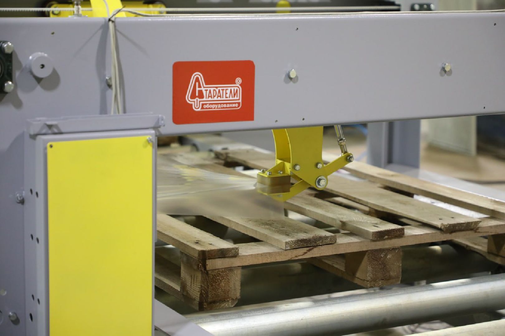 старатели, общество, лыткарино,