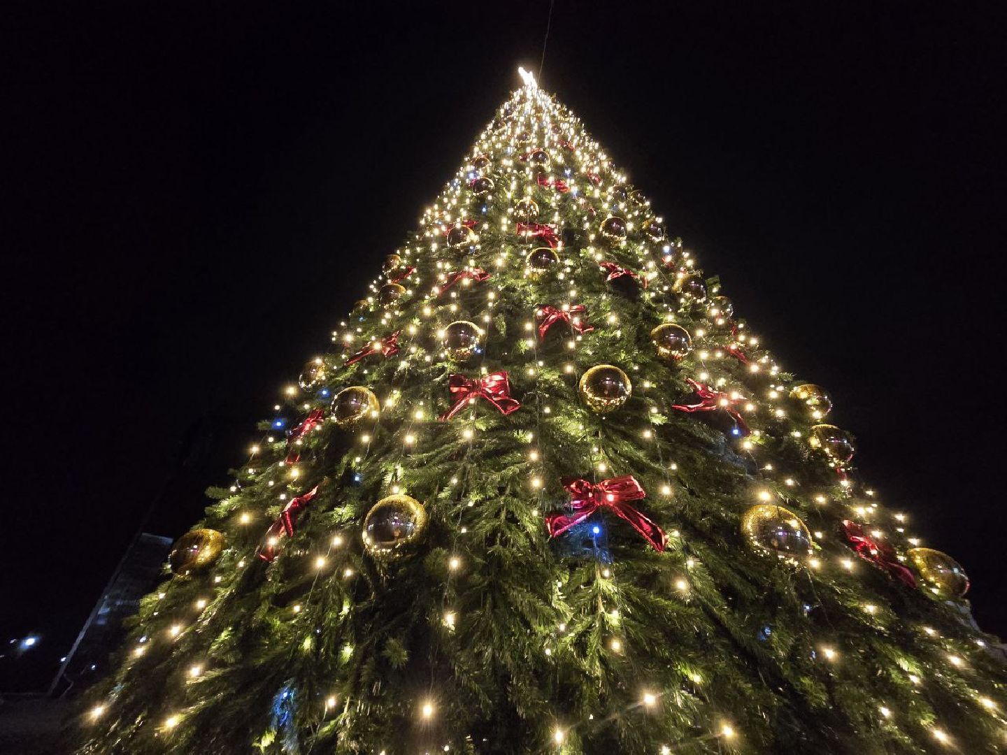 можайск, можайский муниципальный округ, подмосковье, новый год, благоустройство, зима в подмосковье, главная елка округа,