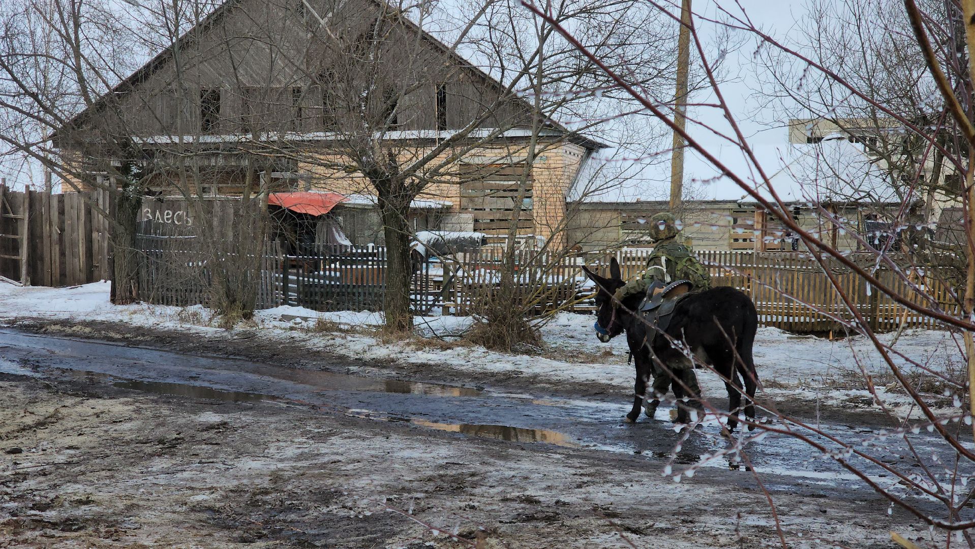 Луховицы, Кино,