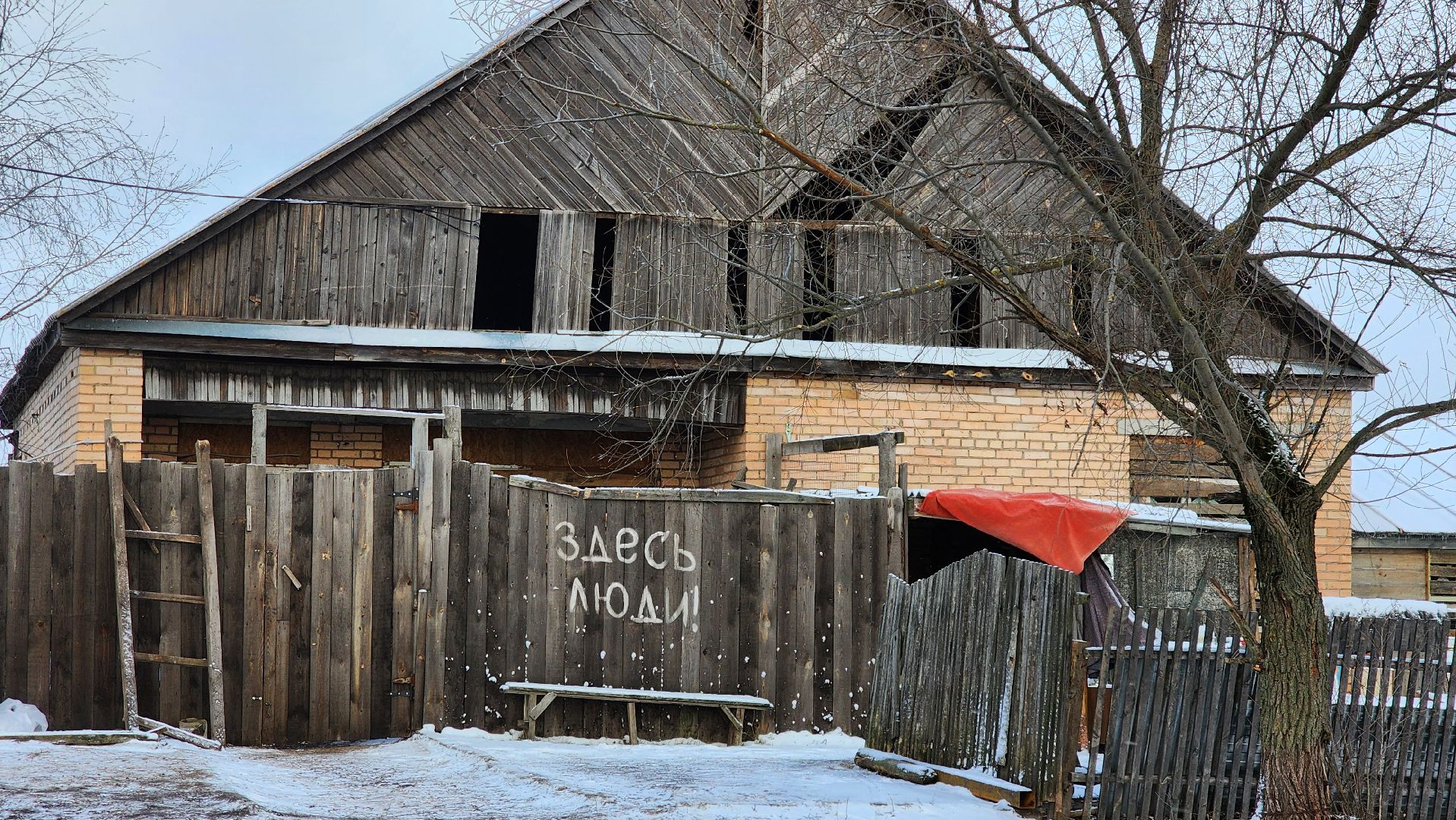 Луховицы, Кино,