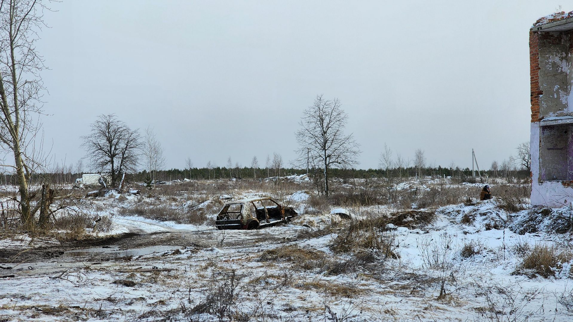 Луховицы, Кино,