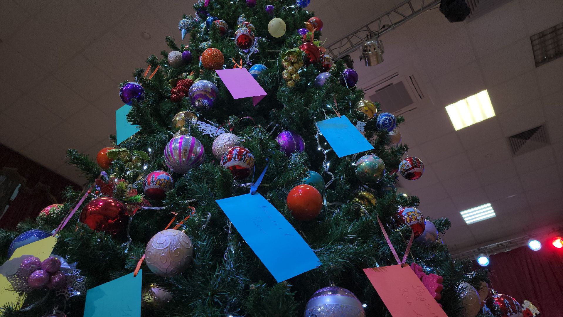 красногорск, петрово-дальнее, елка желаний,