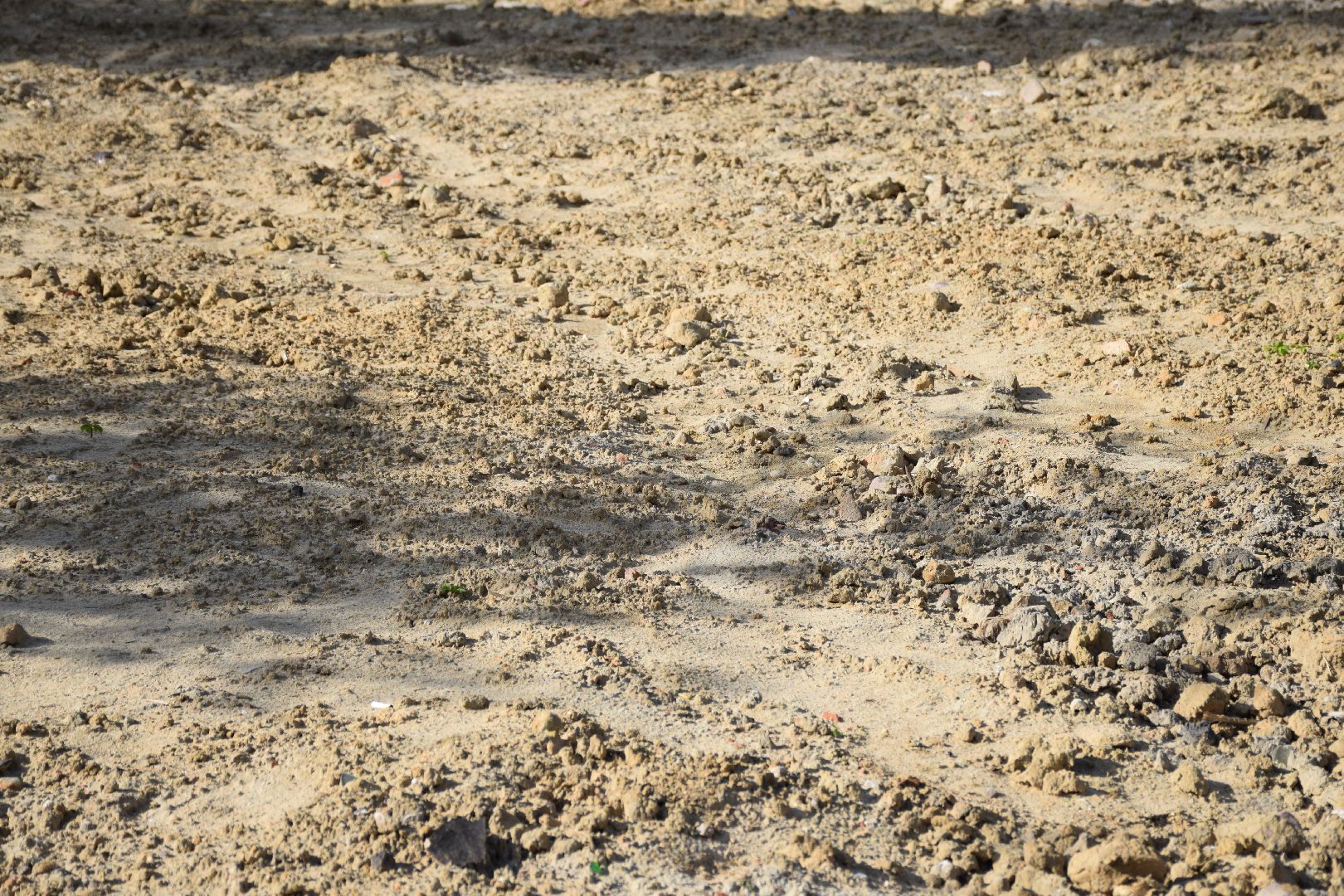 Электрогорск, городской округ Павловский Посад, благоустройство, дворы, программы, снос, переселение