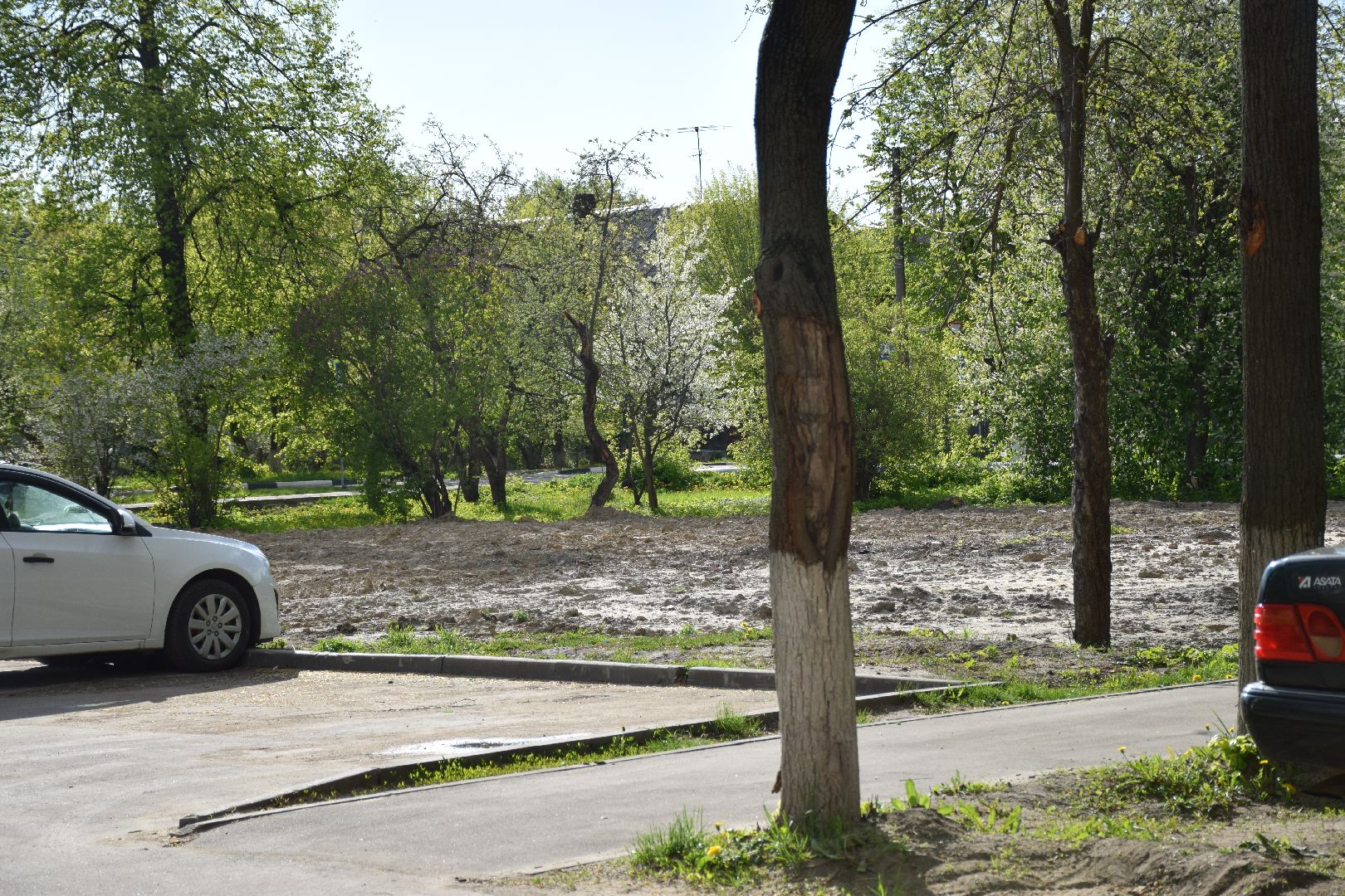 Электрогорск, городской округ Павловский Посад, благоустройство, дворы, программы, снос, переселение