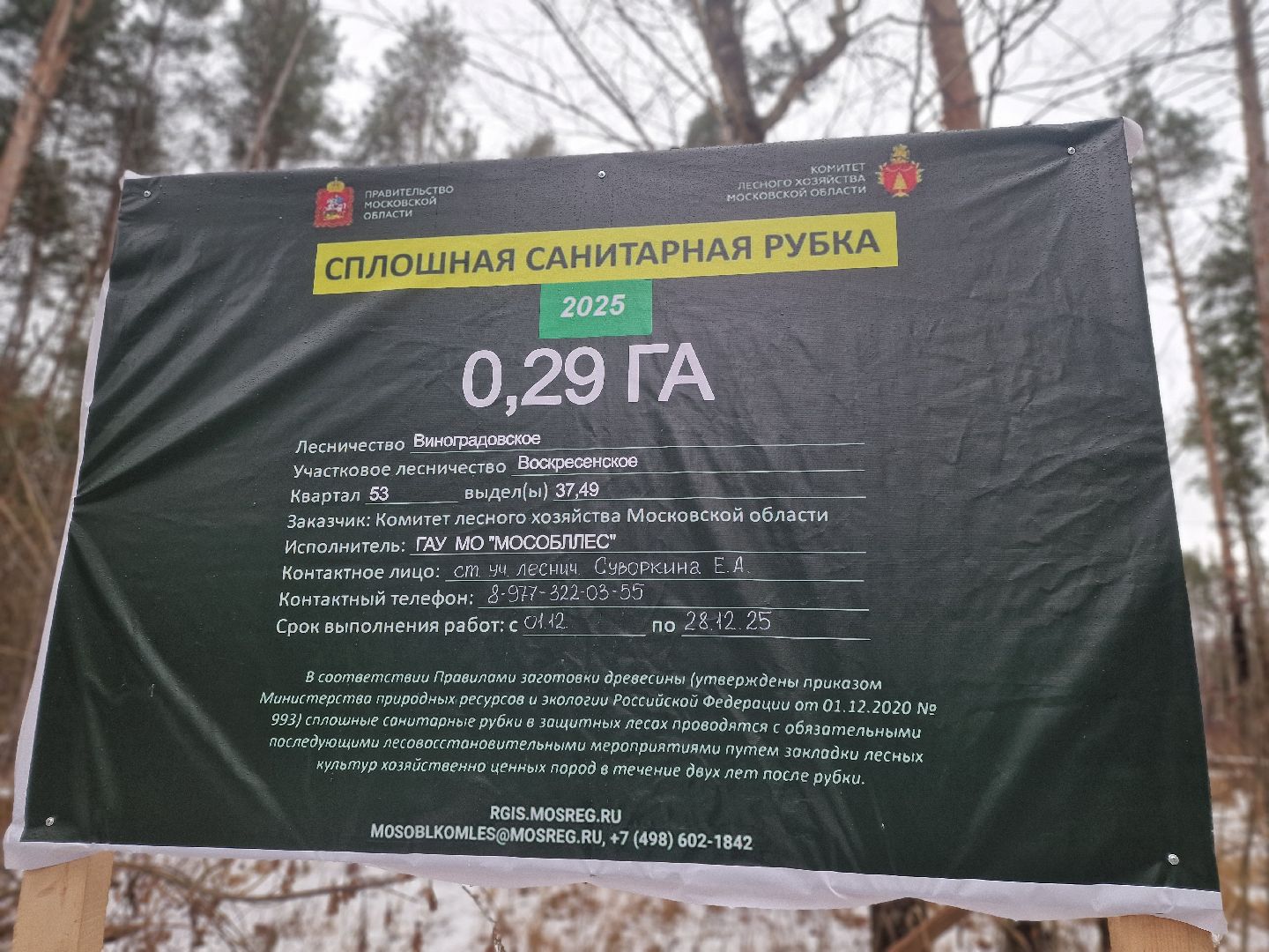 воскресенск, мособллес,