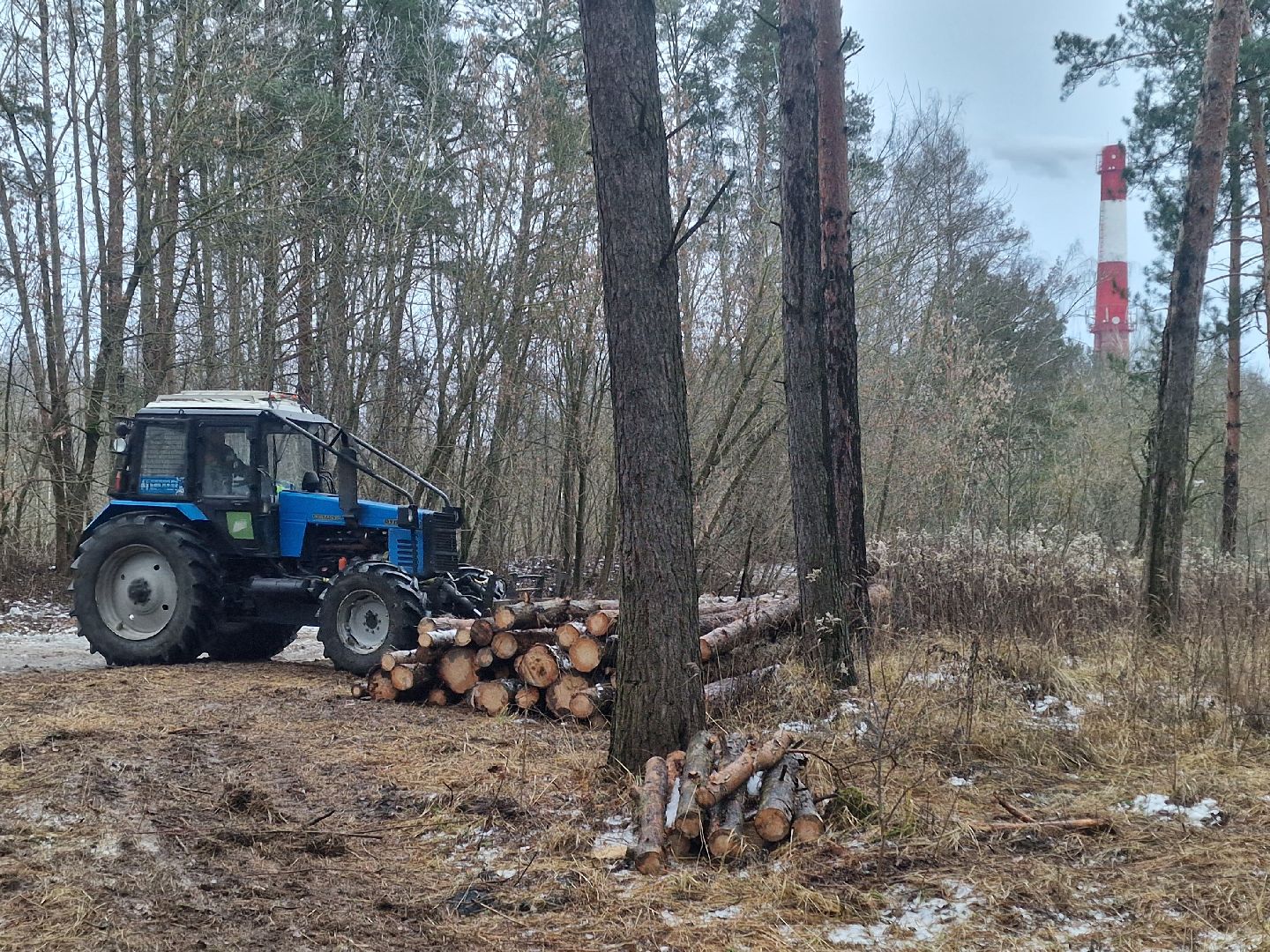воскресенск, мособллес,
