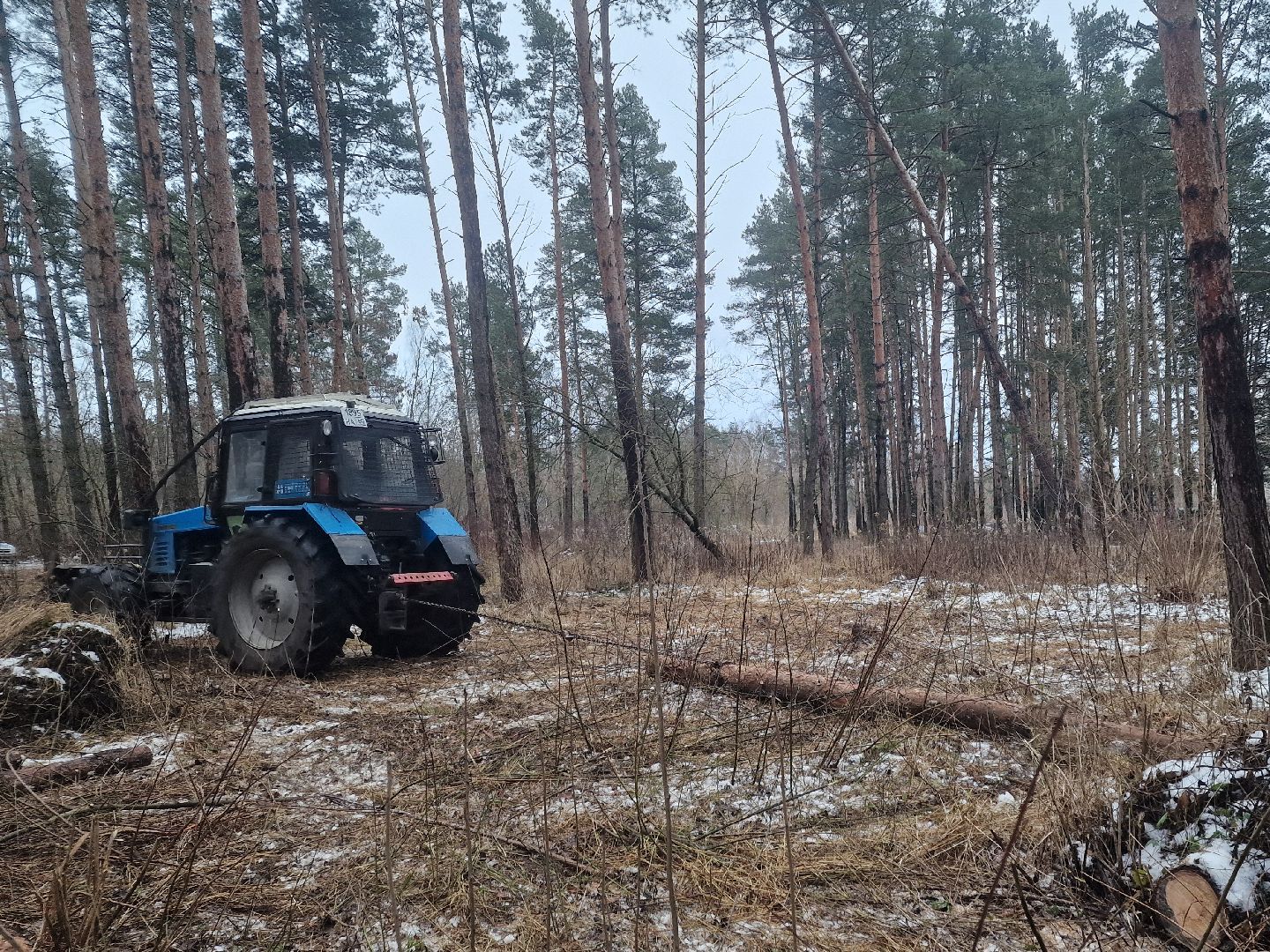 воскресенск, мособллес,