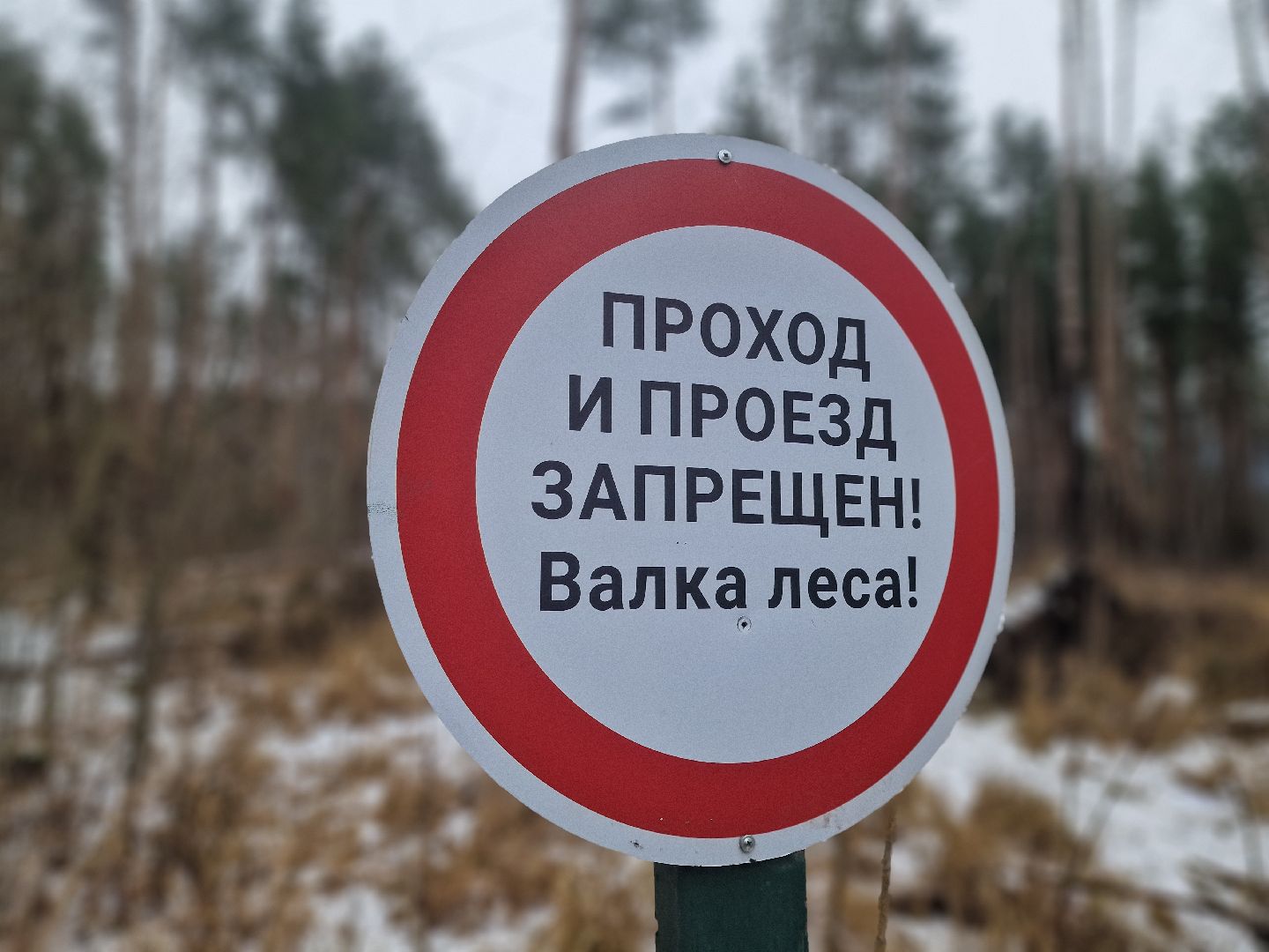 воскресенск, мособллес,