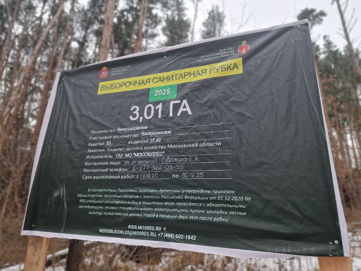 воскресенск, мособллес,