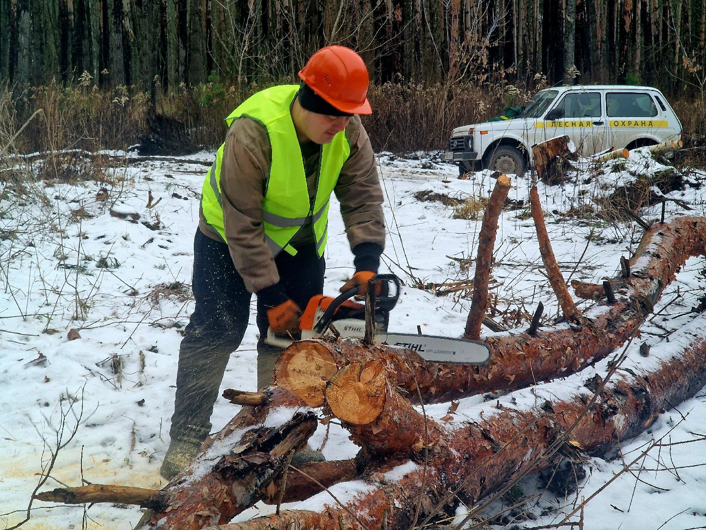 воскресенск, мособллес,