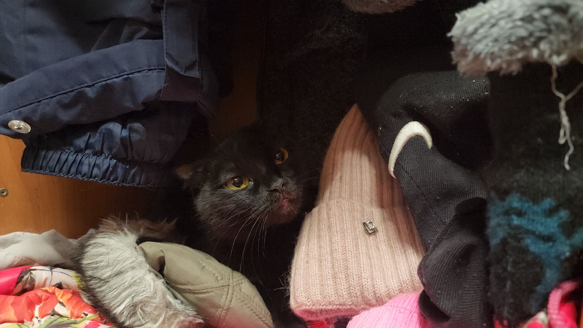 кашира, новый год, дед мороз, волонтеры, многодетные семьи,