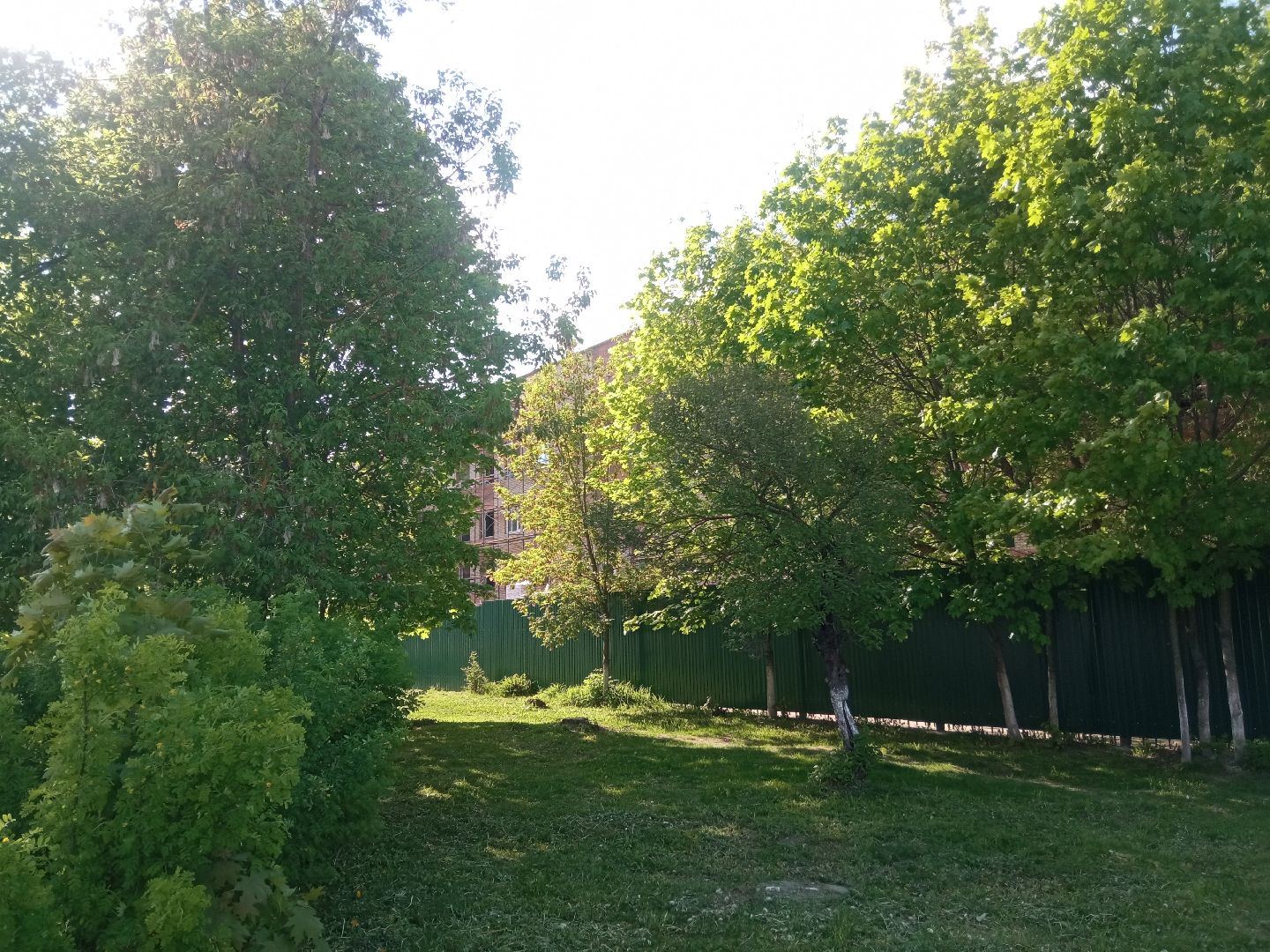 Павловский Посад, город Павловский Посад, ремонт, поликлиника, программа, «Здравоохранение Подмосковья»