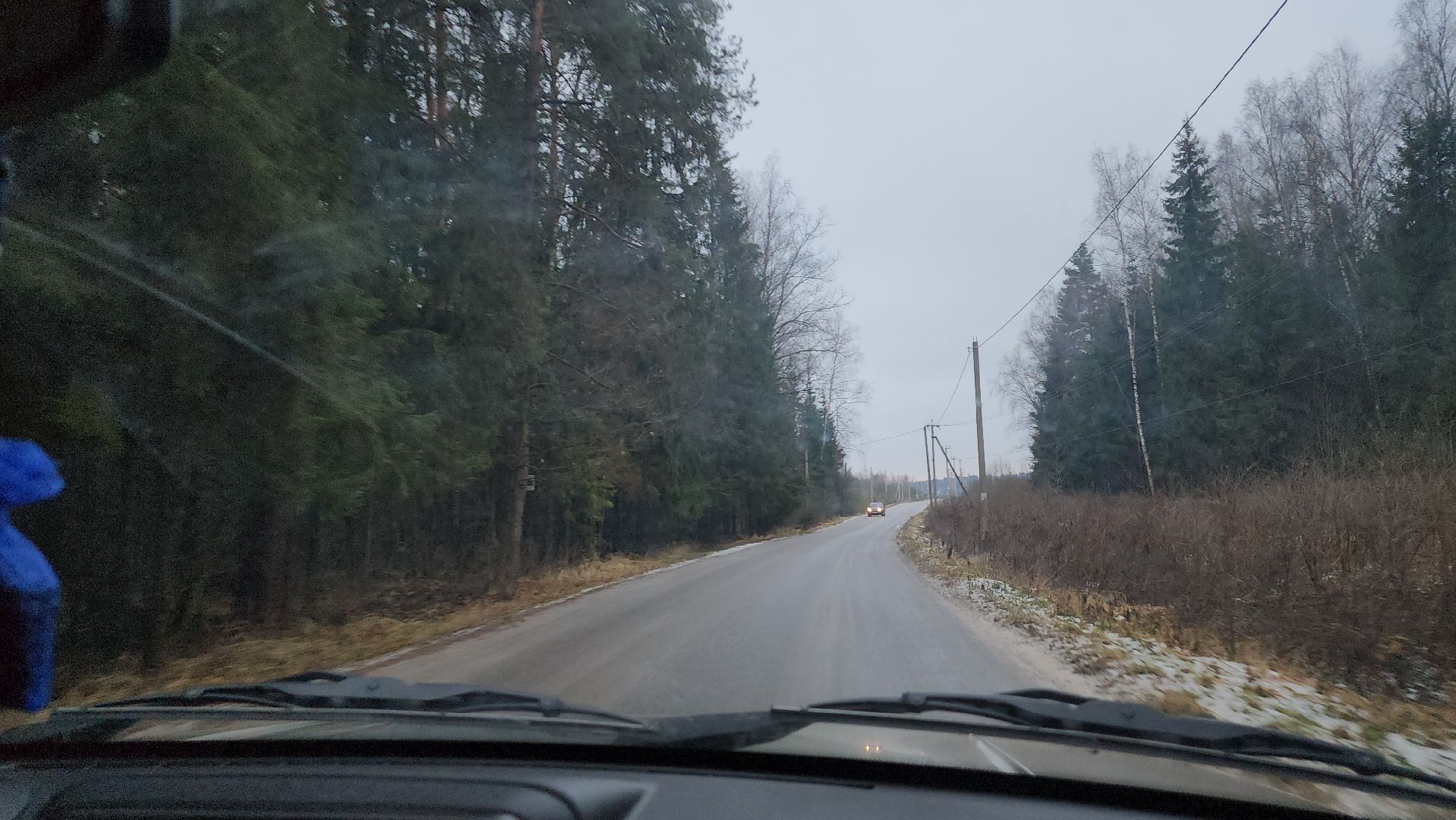 щёлково, Незаконная вырубка елок, Патрулирование лесов,