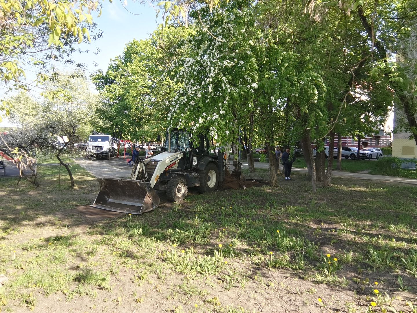 Балашиха, пни, деревья, благоустройство, специальная техника, дворовые площадки, жилые дома, спил аварийных деревьев