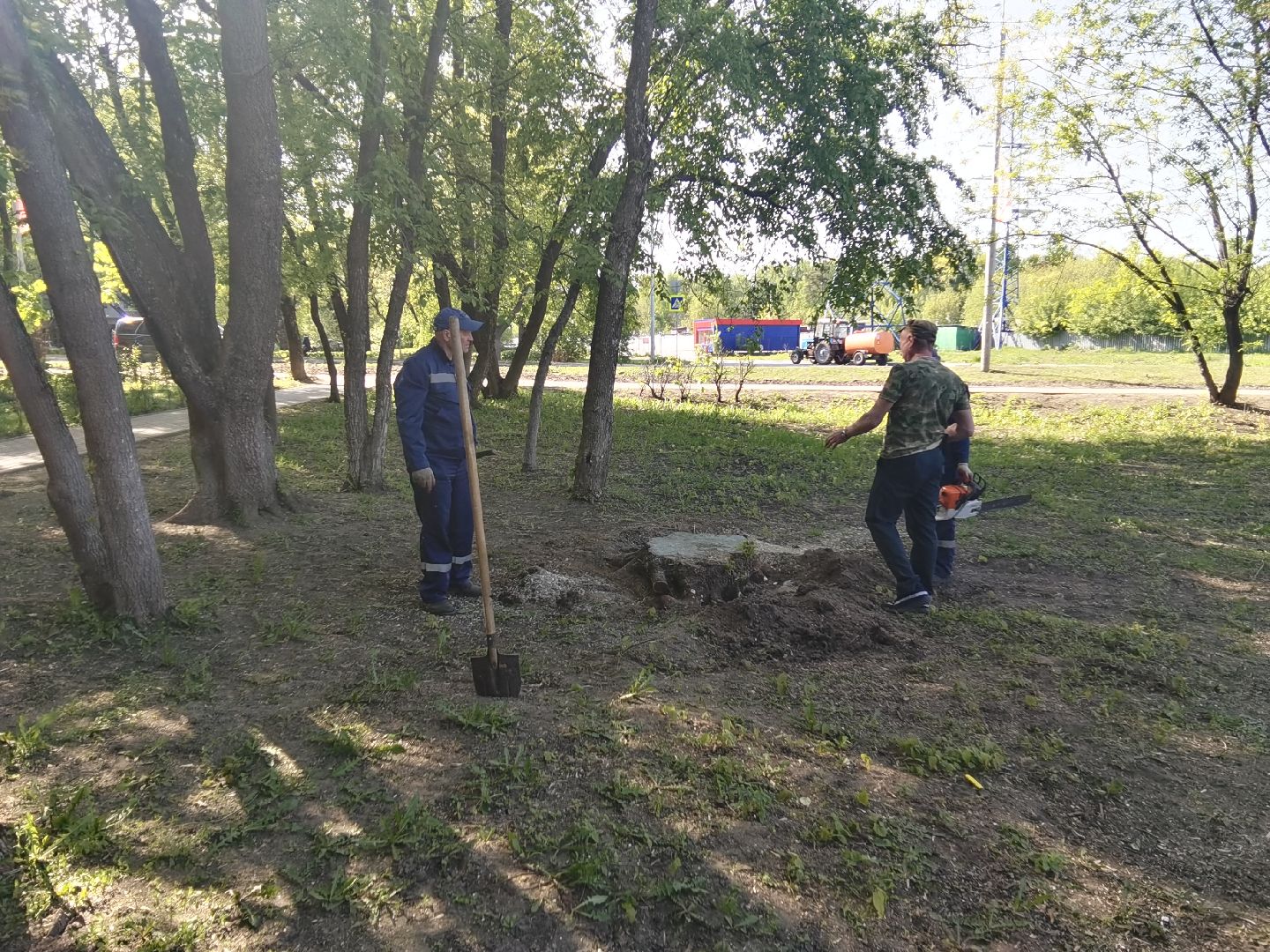 Балашиха, пни, деревья, благоустройство, специальная техника, дворовые площадки, жилые дома, спил аварийных деревьев