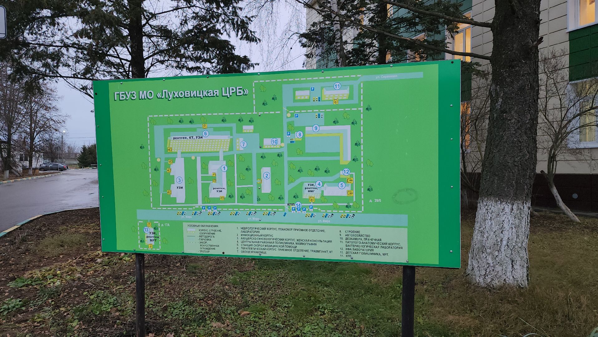 луховицы, медицина, луховицкая поликлиника, профилактика онкологии,